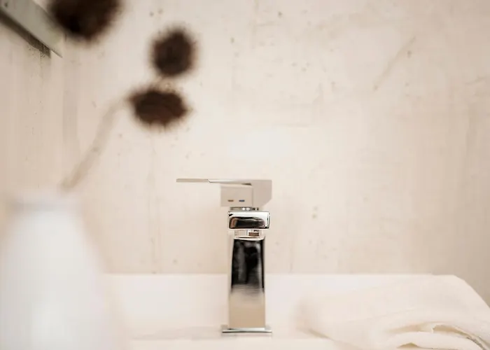 Lenzup مايرهوفن